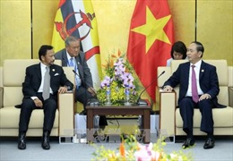 APEC 2017: Chủ tịch nước Trần Đại Quang gặp song phương Quốc vương Brunei